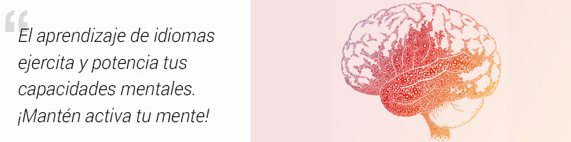 Aprende idiomas en verano. Motivo 4