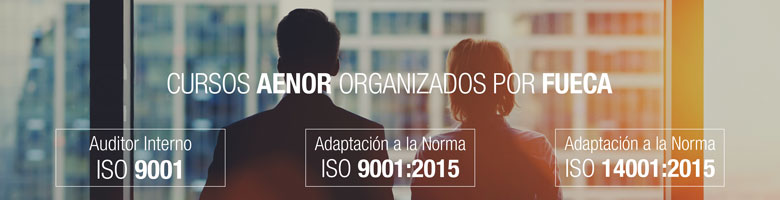 Cursos AENOR Cabecera